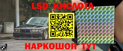 стафф Заводоуковск