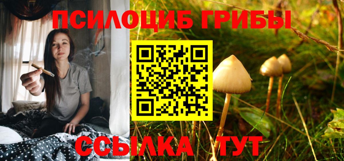 Галлюциногенные грибы Psilocybine cubensis  Вход с VPN  Галлюциногенные грибы Psilocybine cubensis  Биробиджан 
